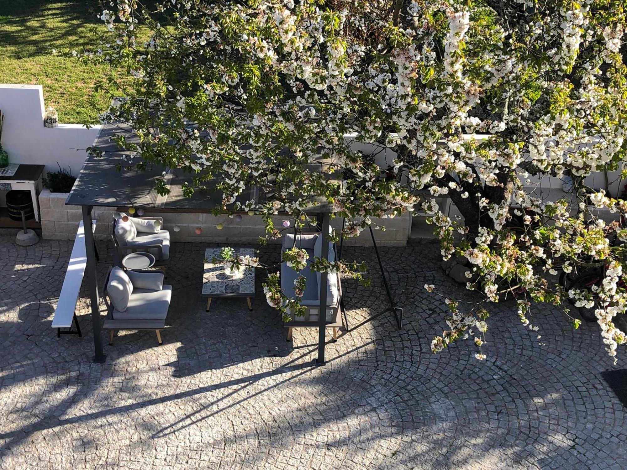 Willa Casa Da Avo Olinda Góis Zewnętrze zdjęcie