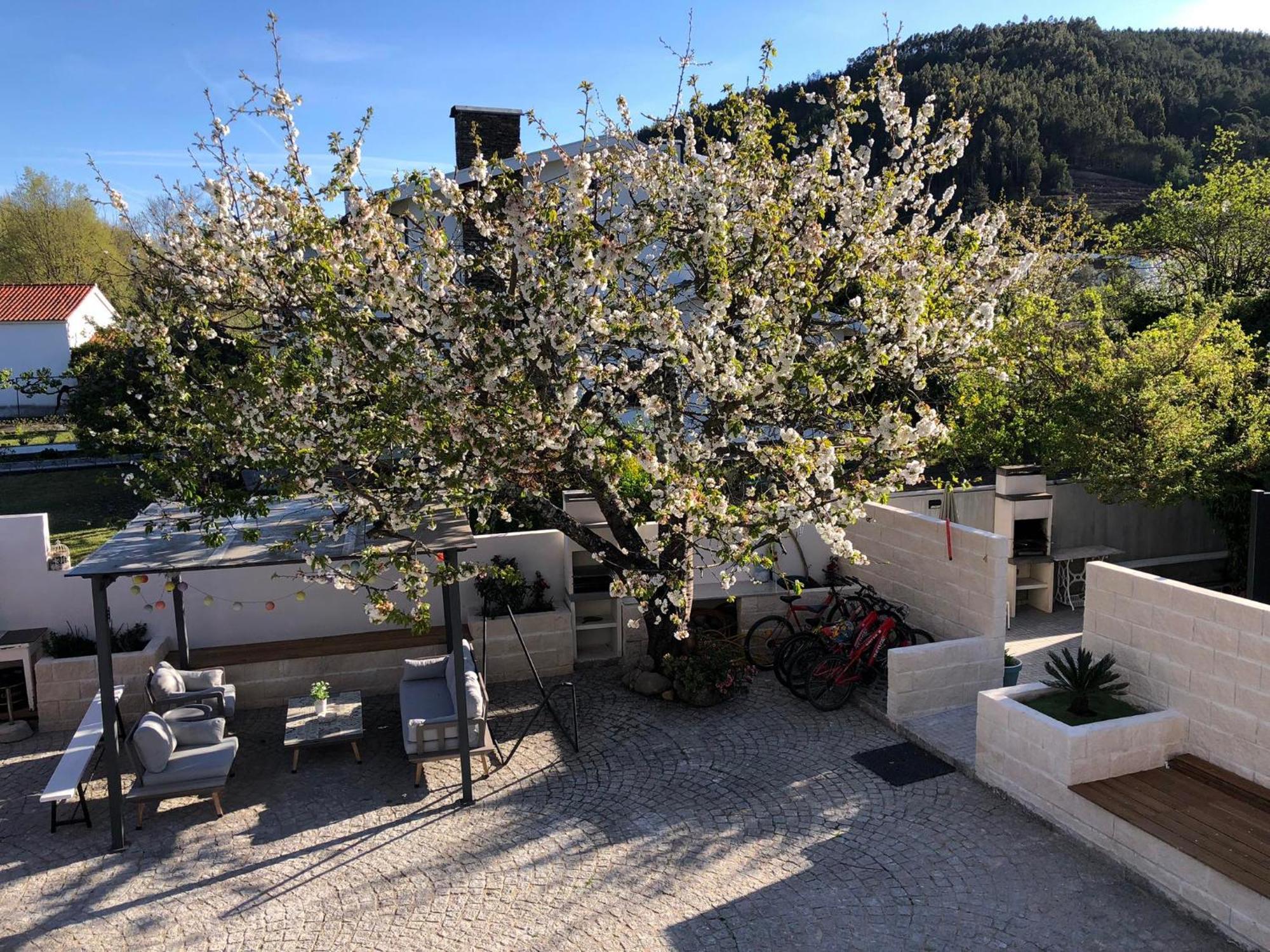 Willa Casa Da Avo Olinda Góis Zewnętrze zdjęcie